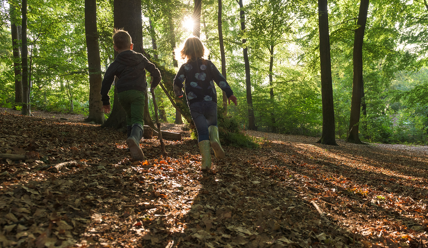 Kinderen rennen in het bos