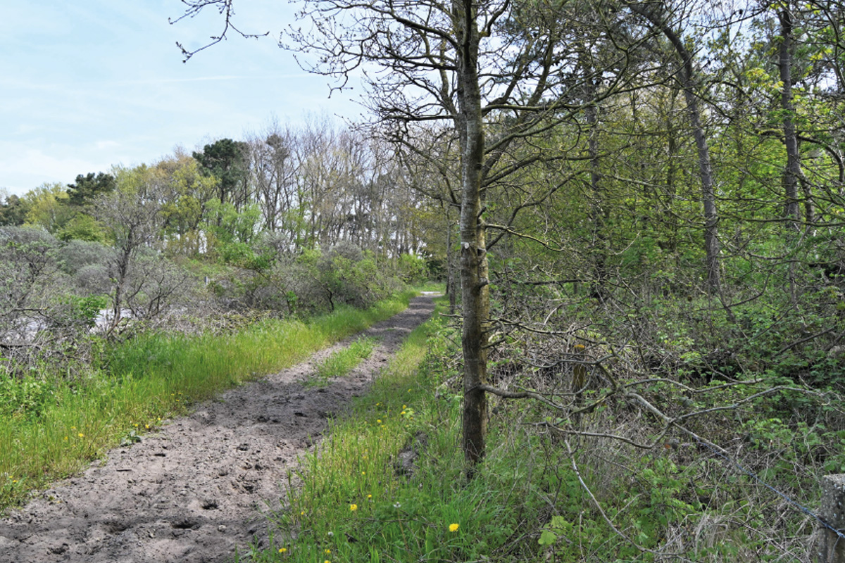 zwinbosjes