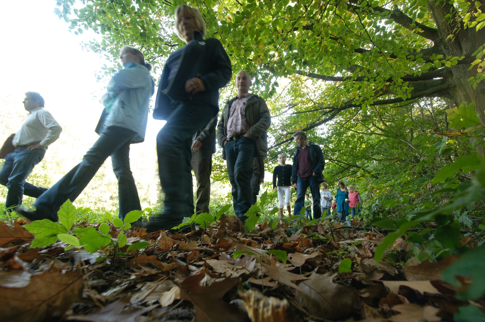 Wandelaars in Walenbos