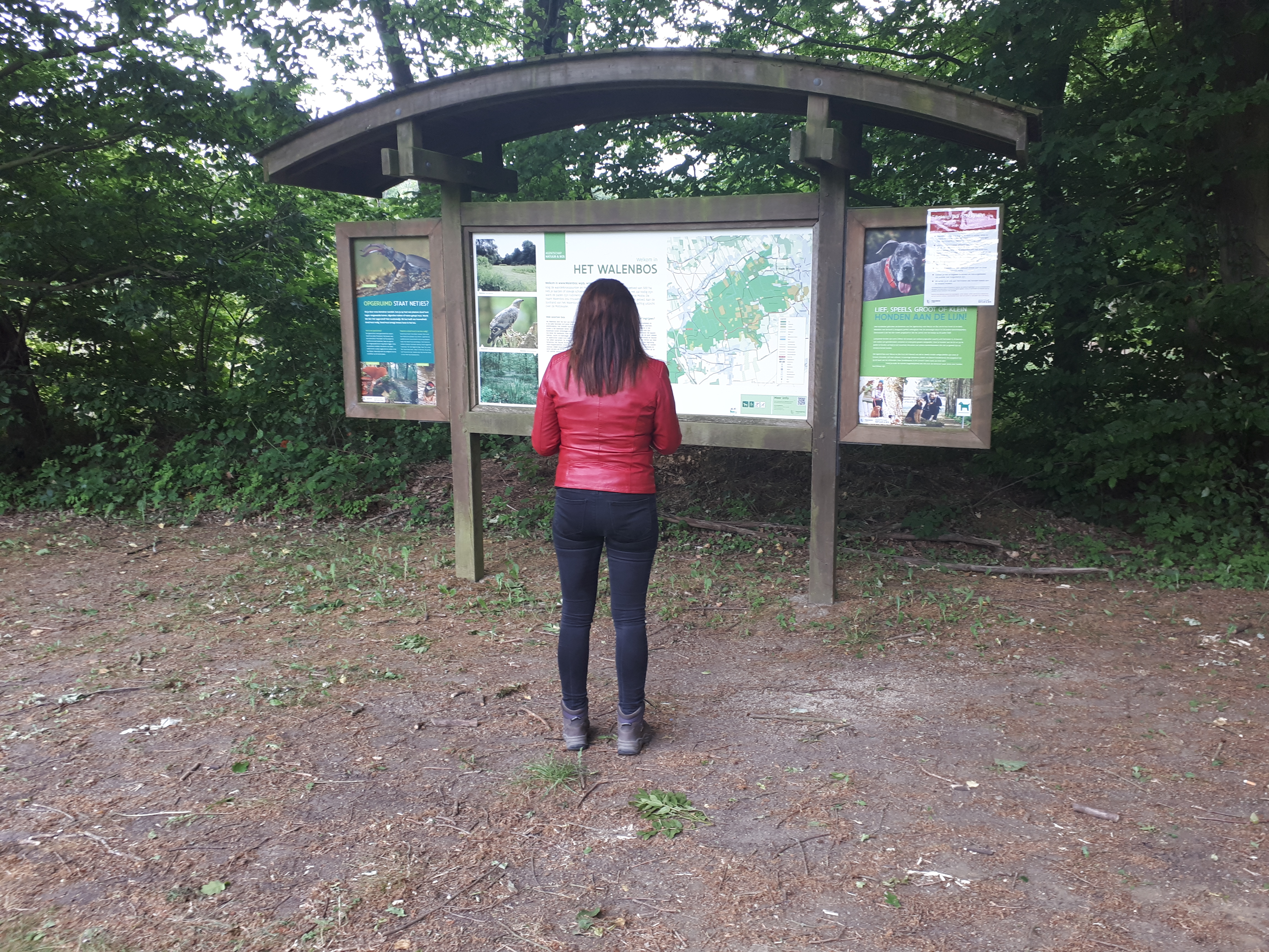 Vrouw leest infobord Walenbos