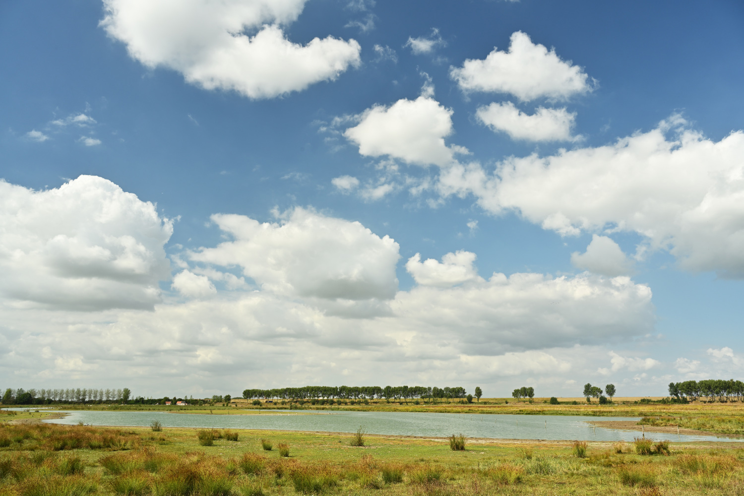 Zicht op de brakke kreek in Doelpoler