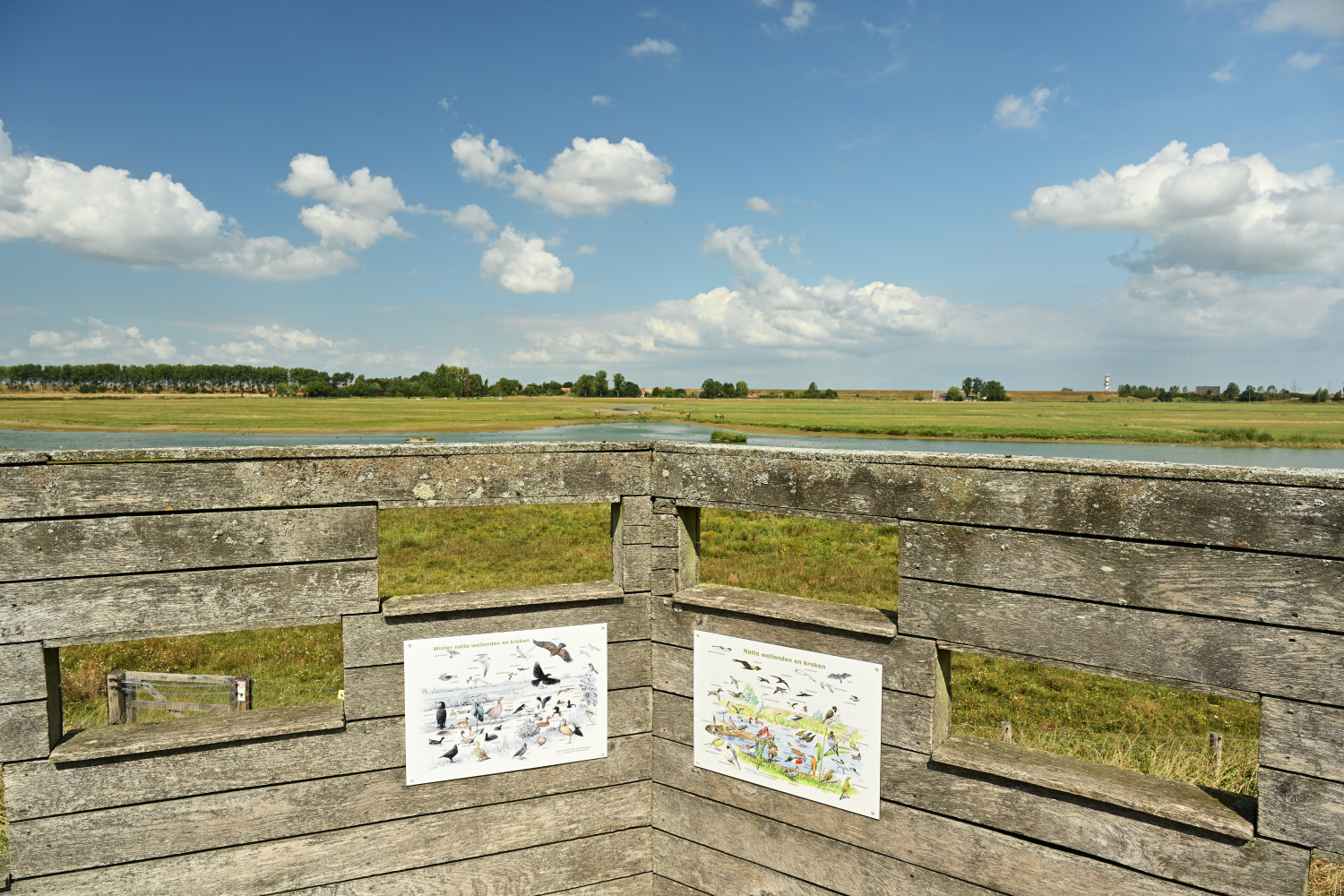 Vogelkijkwand in Doelpolder