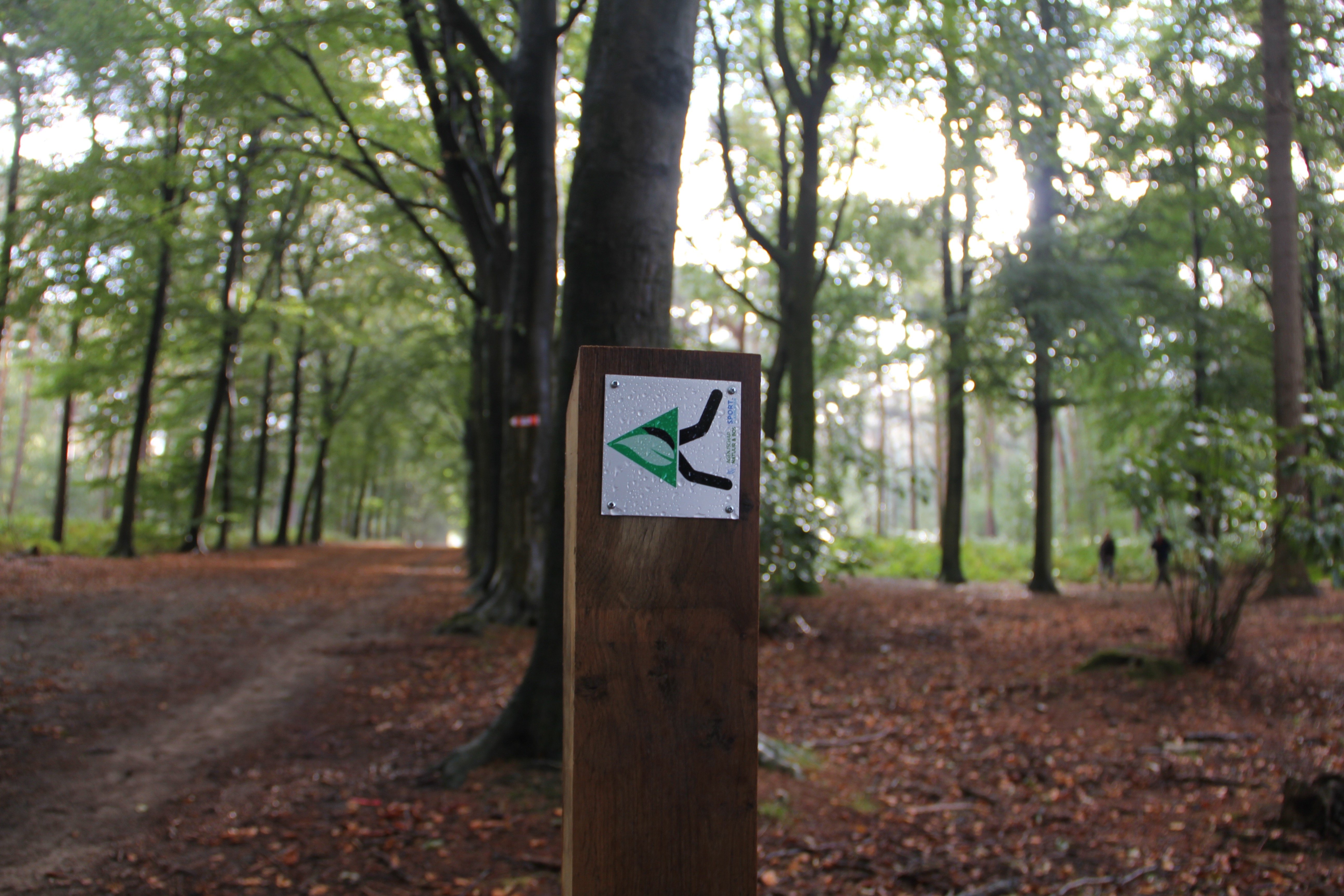 Wegwijzer groene natuurloop