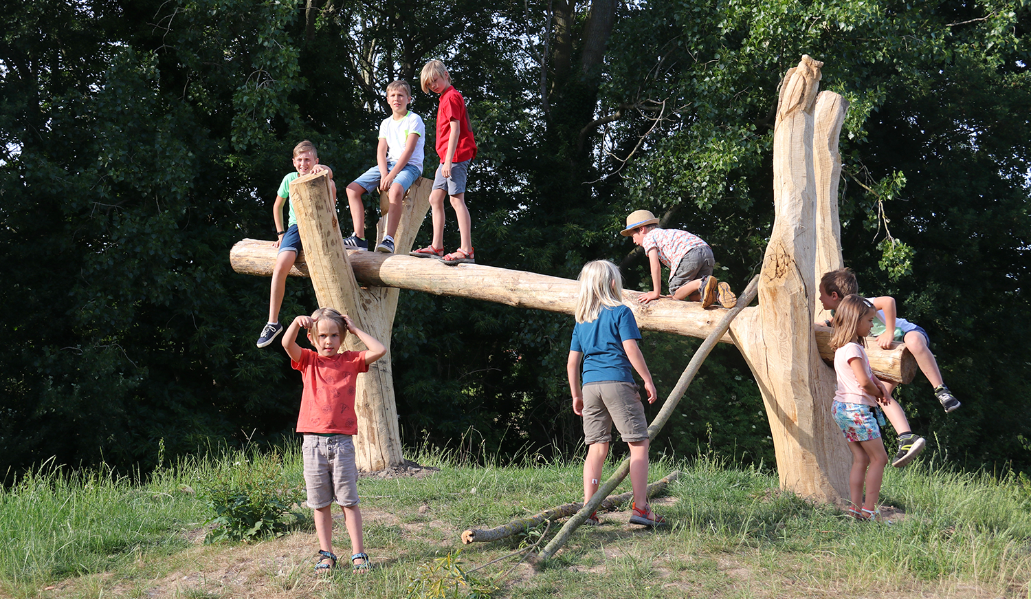 Kinderen klimmen op het speeltoestel