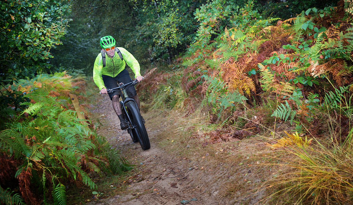 Mountainbiker in het bos