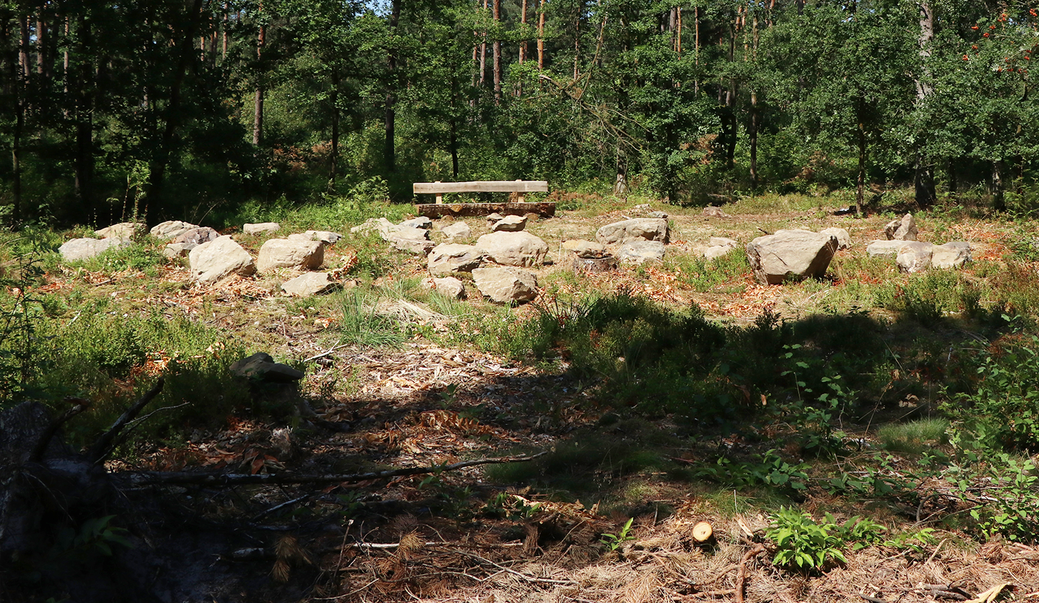 Een natuurbegraafplek met bank