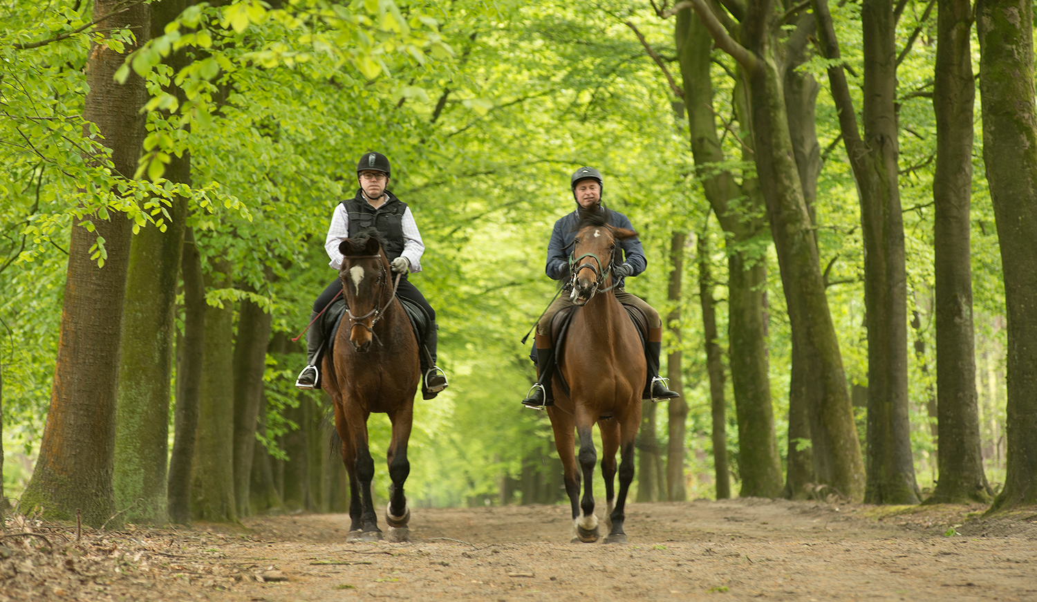 Ruiters in het bos