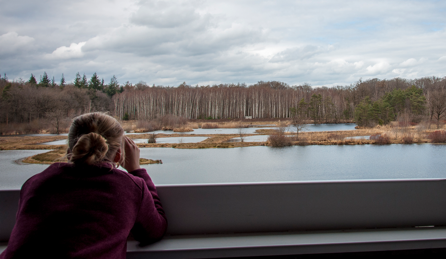 Zicht vanuit de uitkijktoren bij de Aanwijsputten