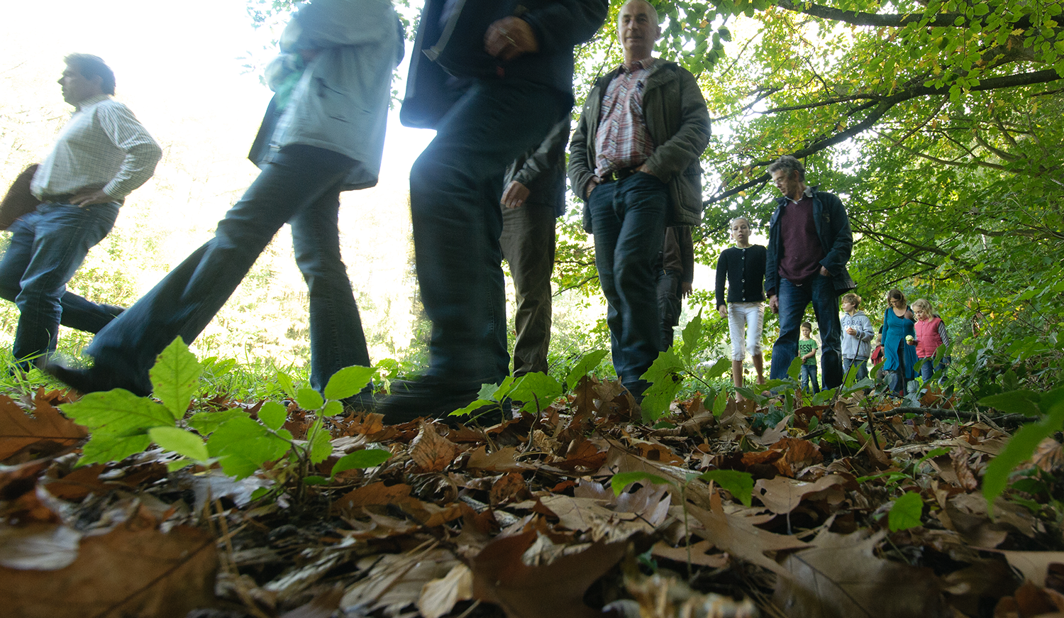 Wandelaars in het bos