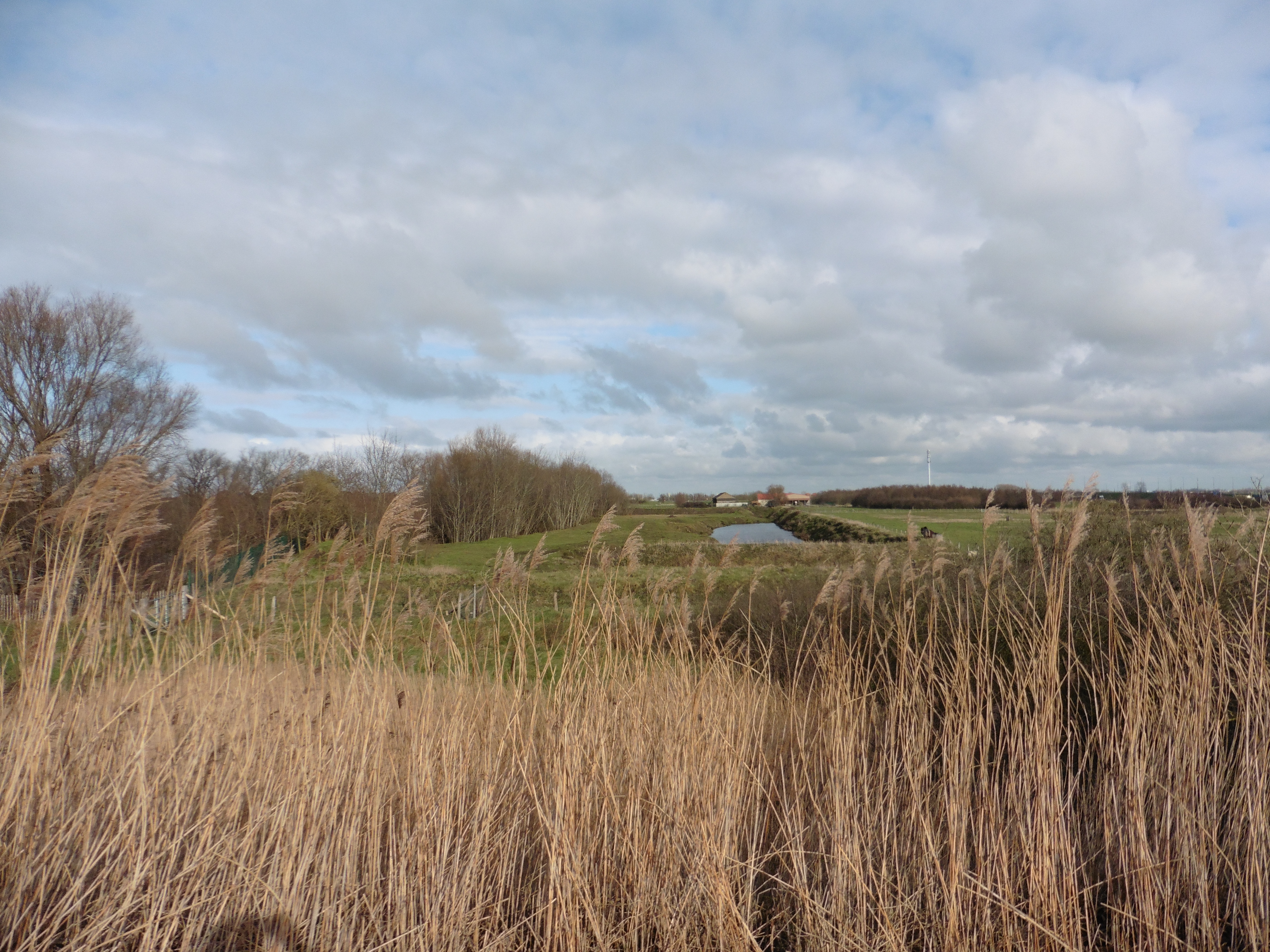 Speelheuvels
