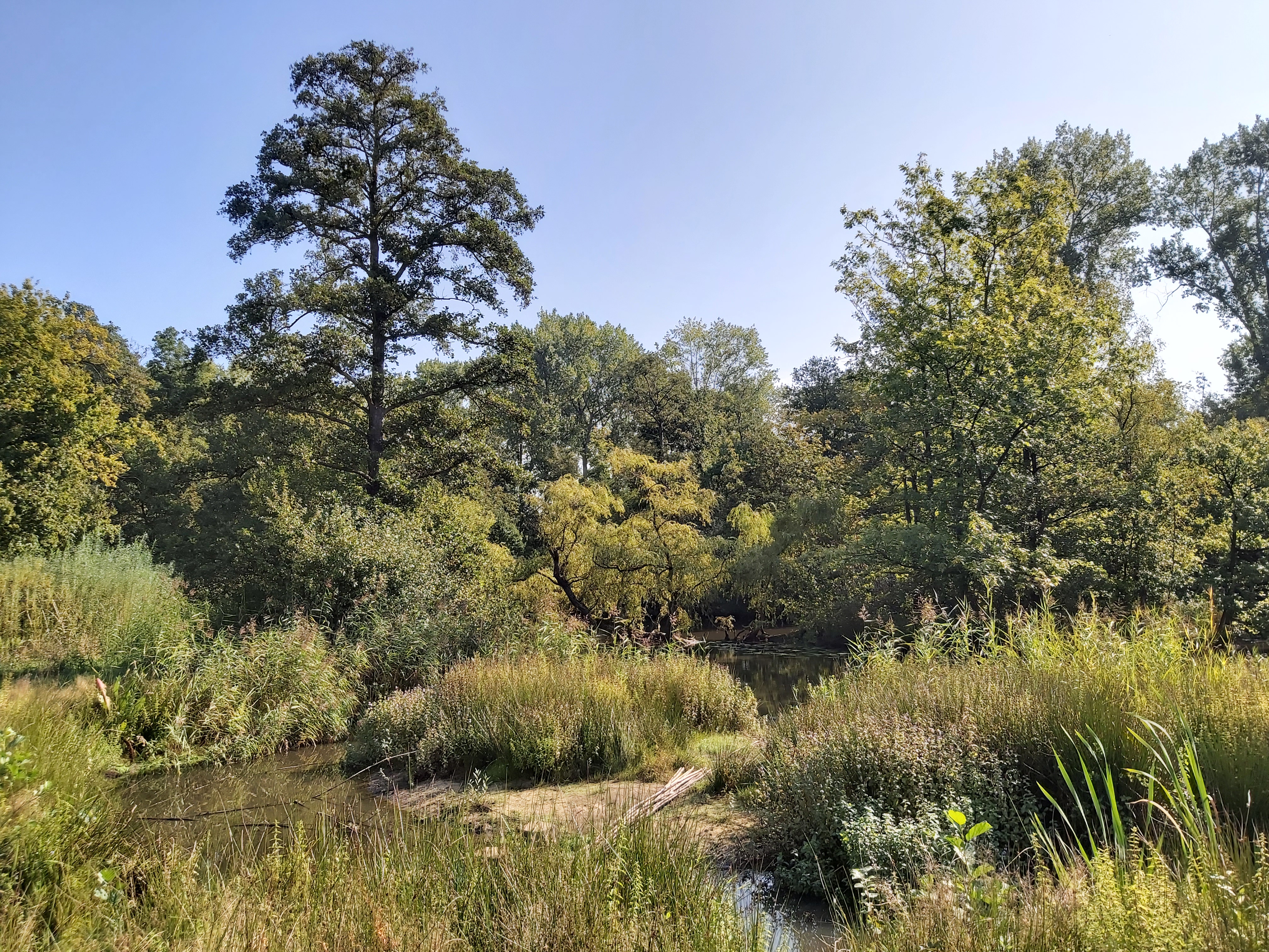 Speelnatuur in Blaasveldbroek