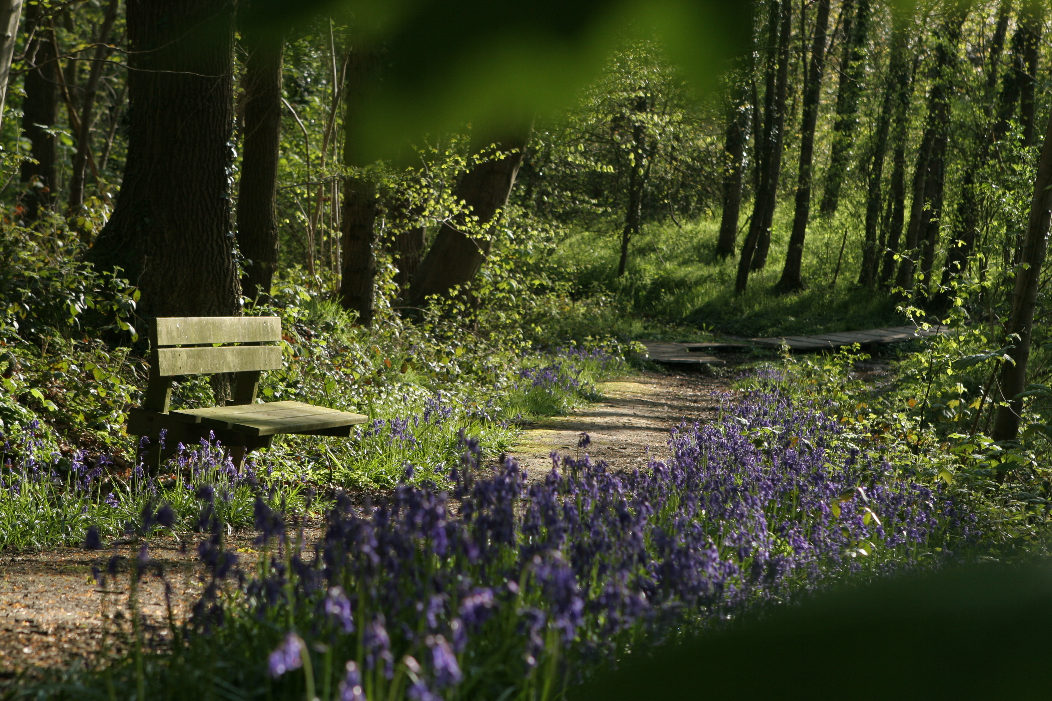 Helleketelbos