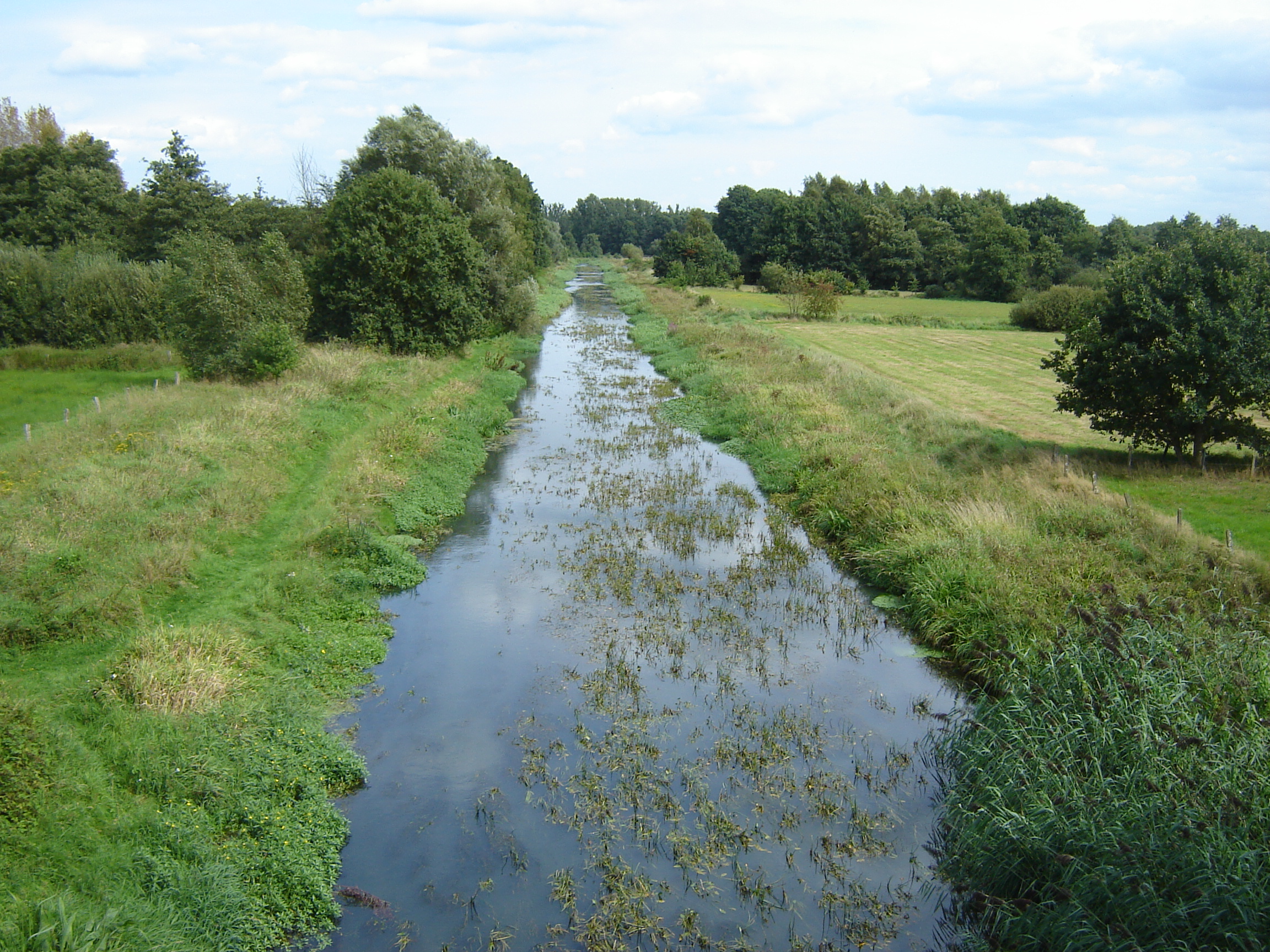 Kleine Nete