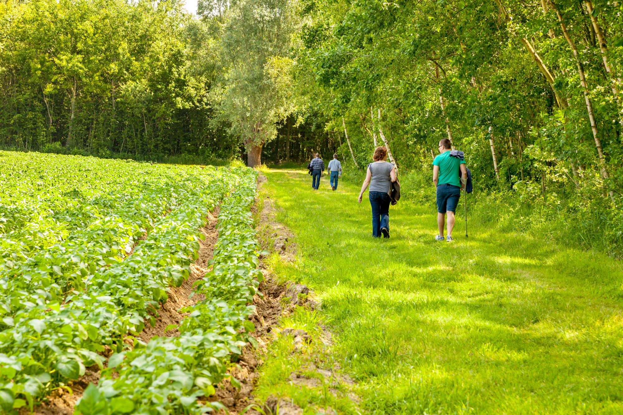 wandelaars in Bergmolenbos