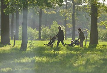 Twee ouders met buggy op een boswandeling