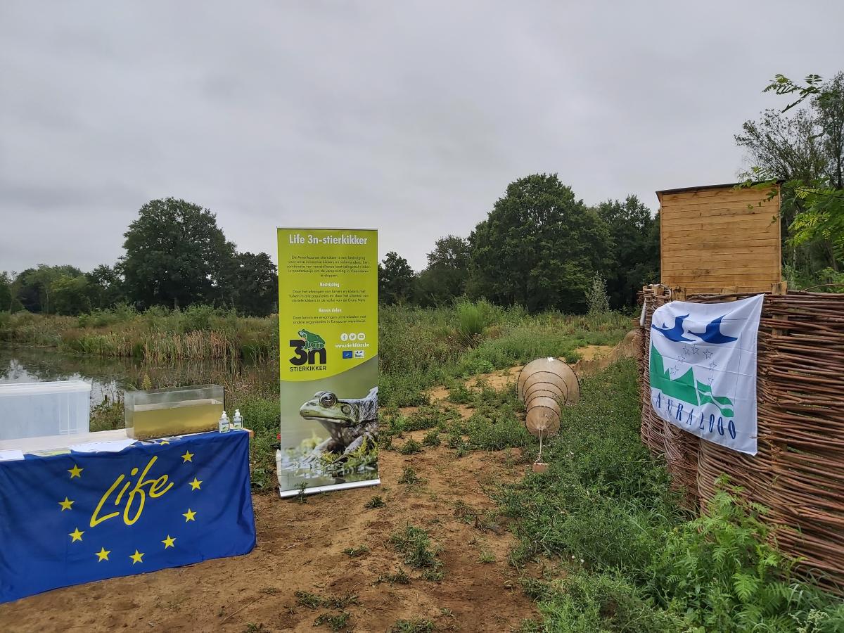 Naast de kweekvijver is een plek voorbereid voor het persmoment, er staat een tafel met een aquarium op, een schietfuik, een infobord en twee vlaggen met de logo's van Life en Natura2000