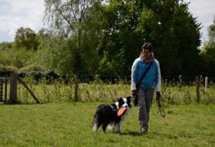 Hond en eigenaar op hondenlosloopzone