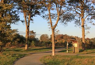 Aangelegd wandelpad tussen enkele bomen op een groot grasveld