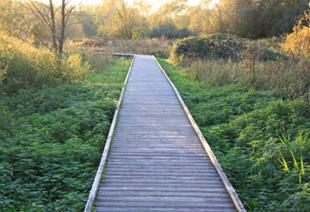 Vlonderpad of plankweg door de vallei van de Rosdambeek