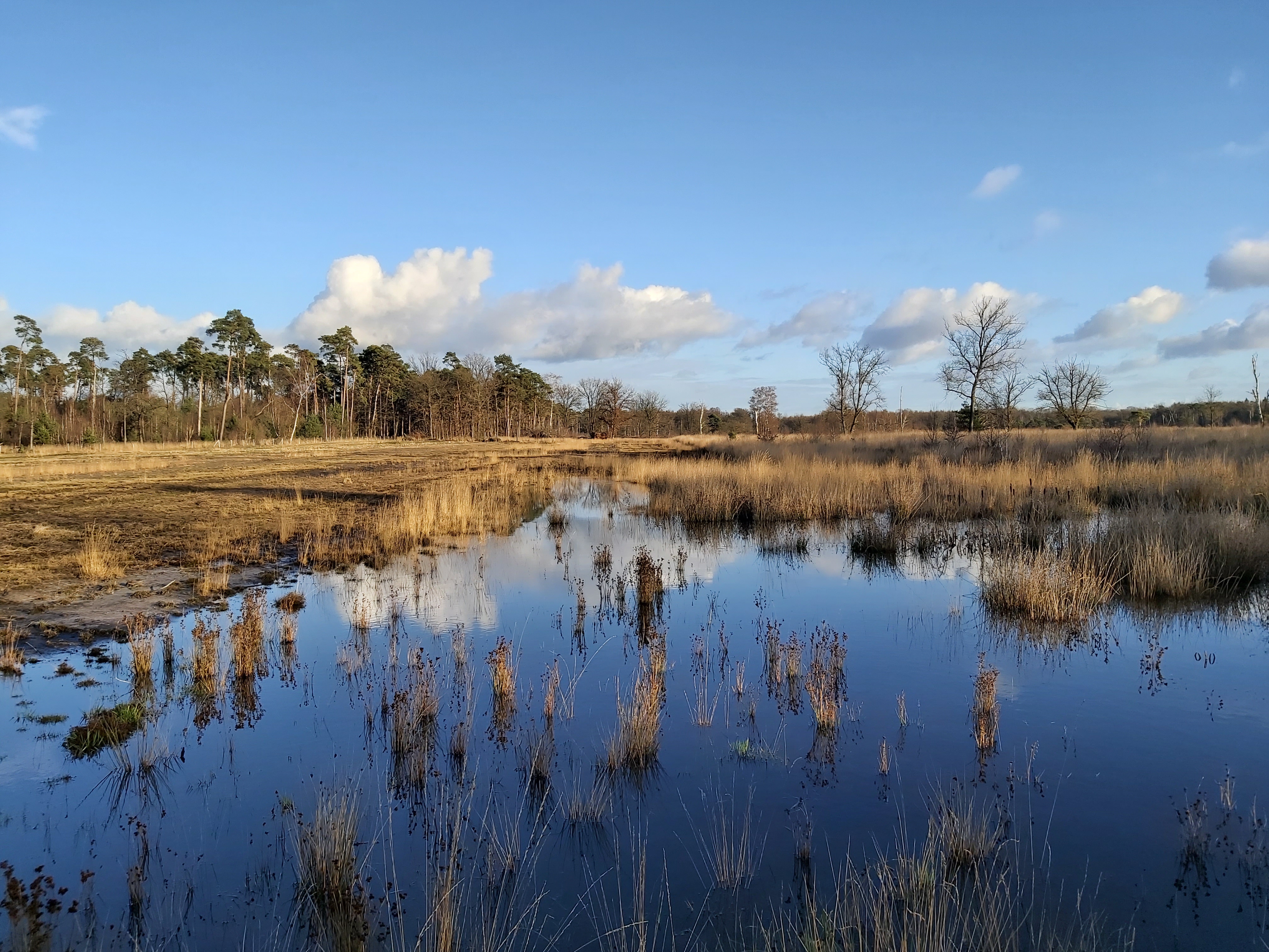 De Ronde Put en de Watering | Agentschap voor Natuur en Bos