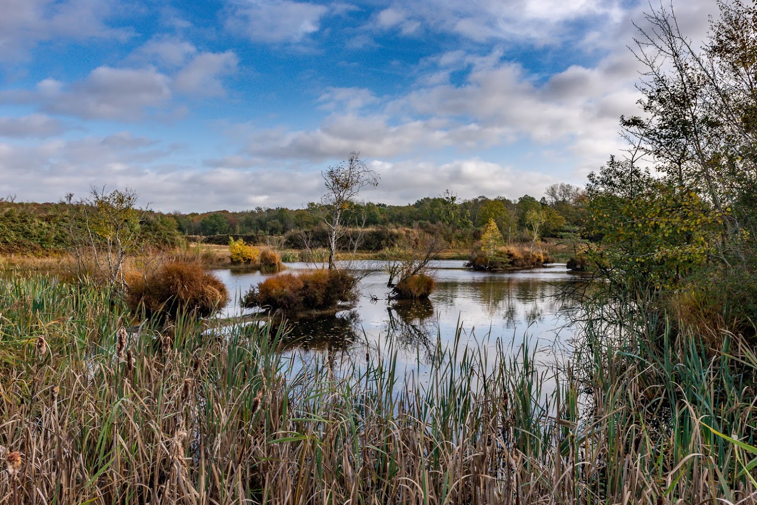 Ven in Vloethemveld