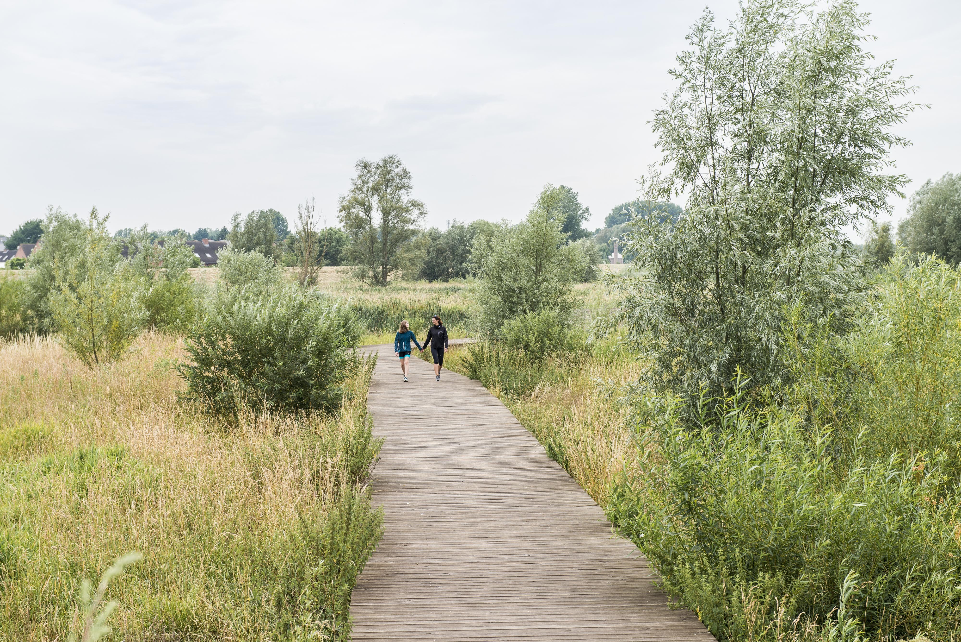 Vlonderpad in Bergenmeersen 