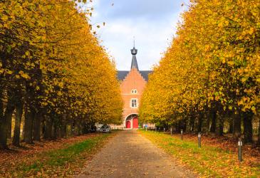 Lange oprijlaan naar de abdij met langs beide kanten herfstkleurige bomen
