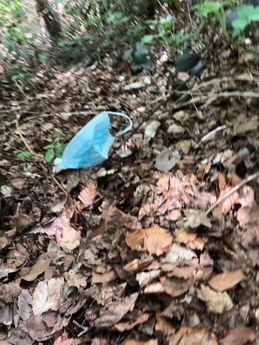 Mondmasker op de grond van het bos