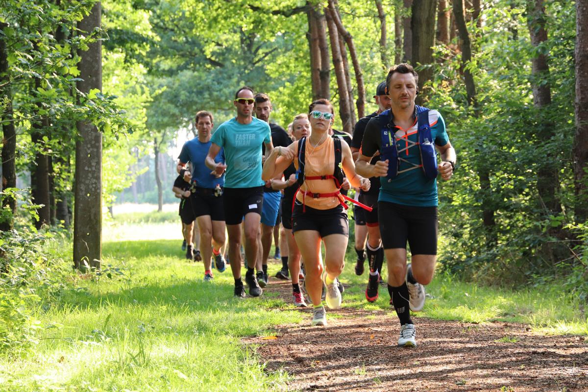 Lopers op een wandelpad door een stuk bos