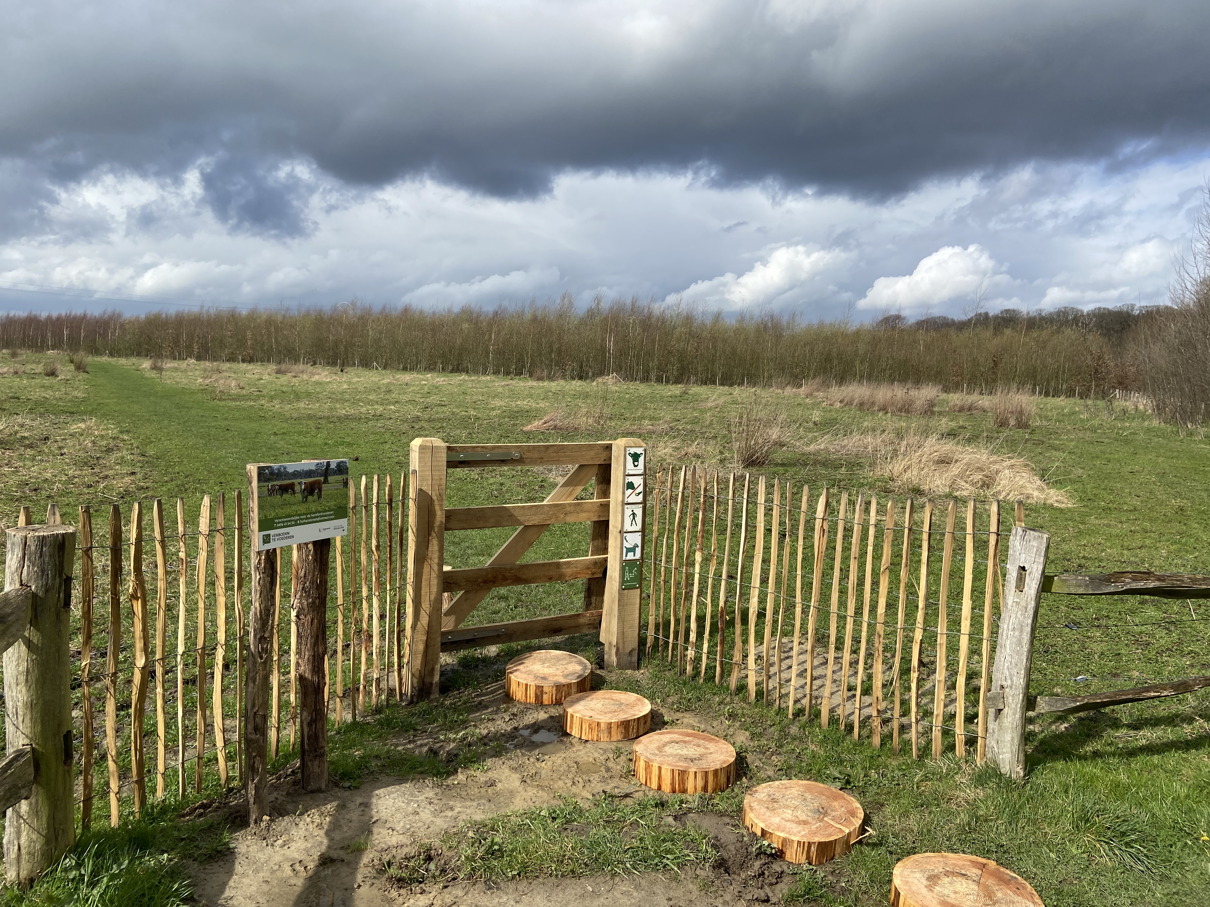 Hekje in een open veld