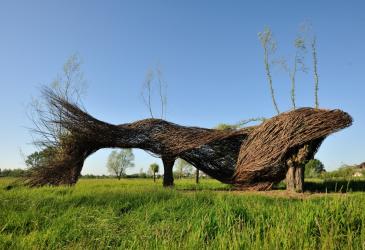 Groot walvis-vormig kunstwerk, gevlochten uit wilgentenen