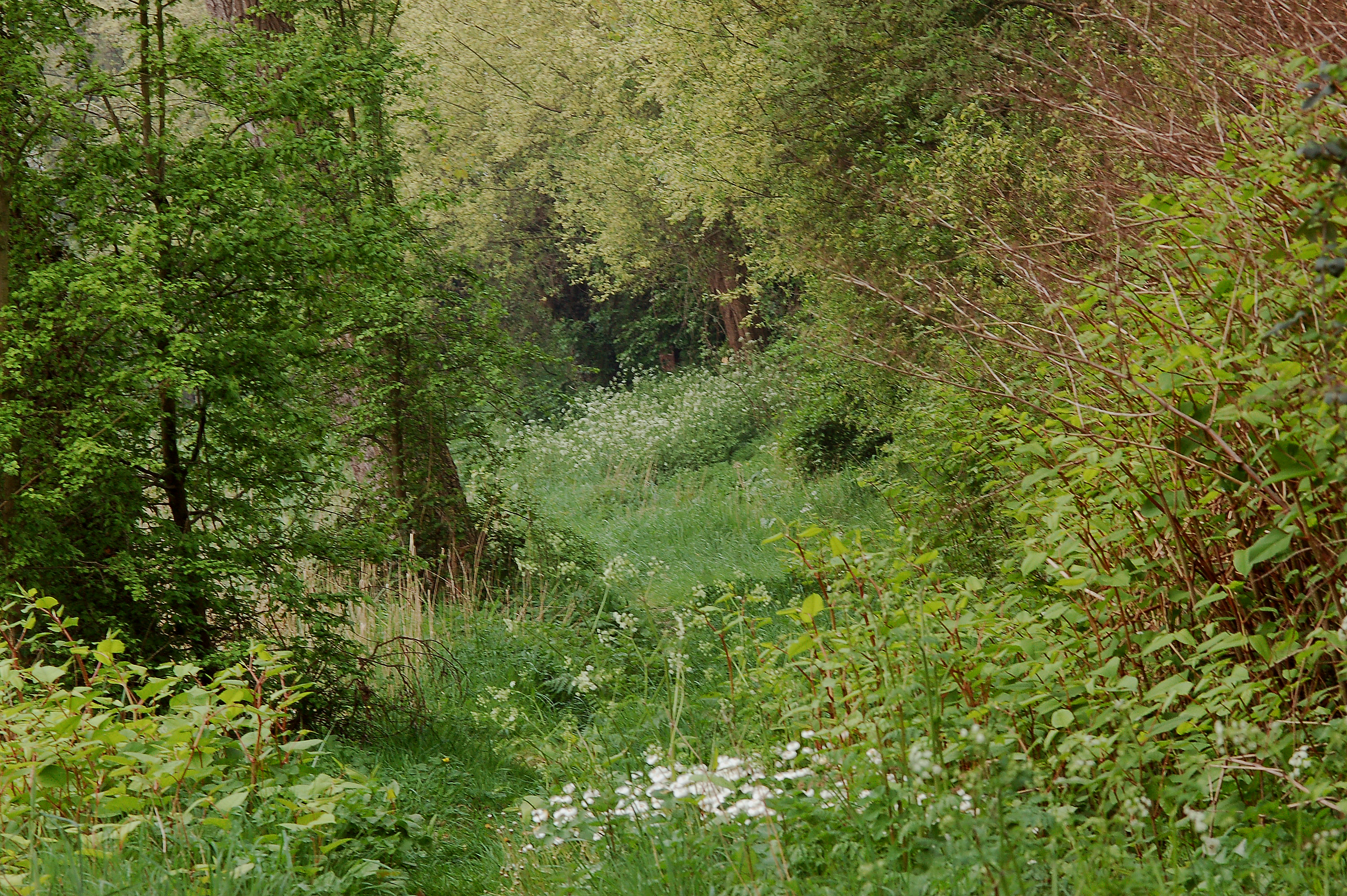 Kanaal Ieper-Komen