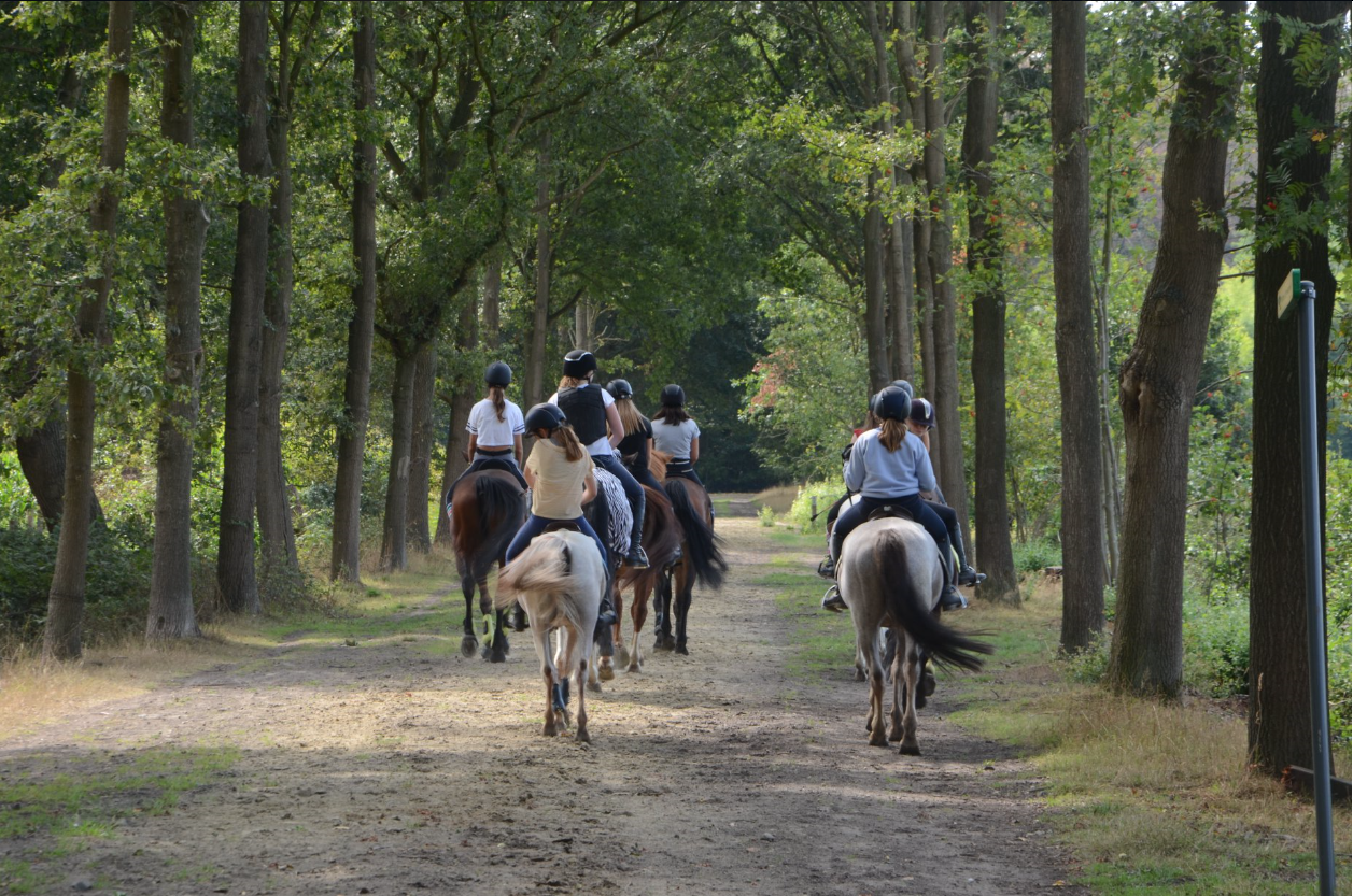 Groep paardrijders in een bos