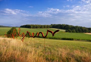 Kronkelend kunstwerk in het midden van de natuur