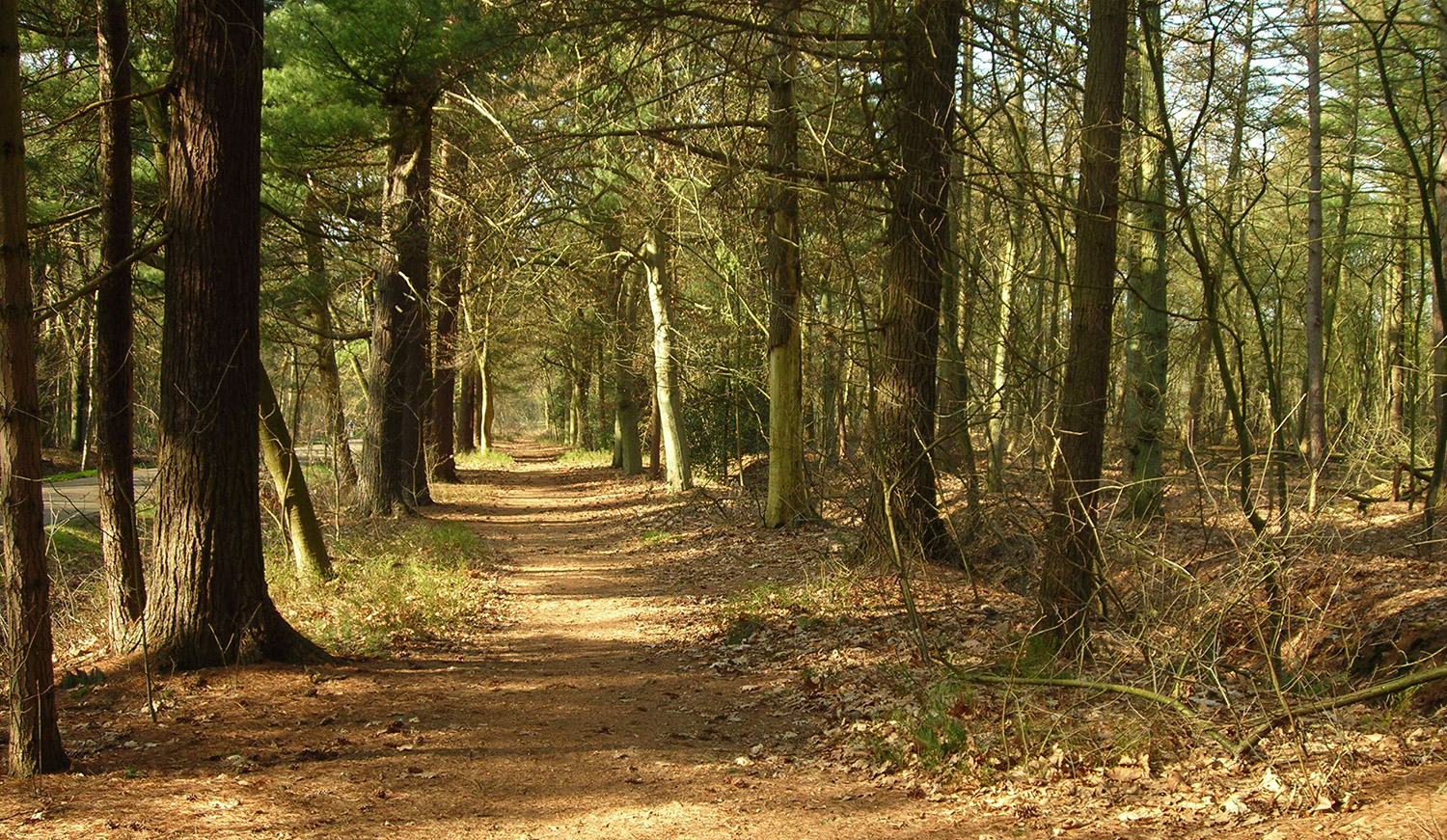 Landschapsfoto