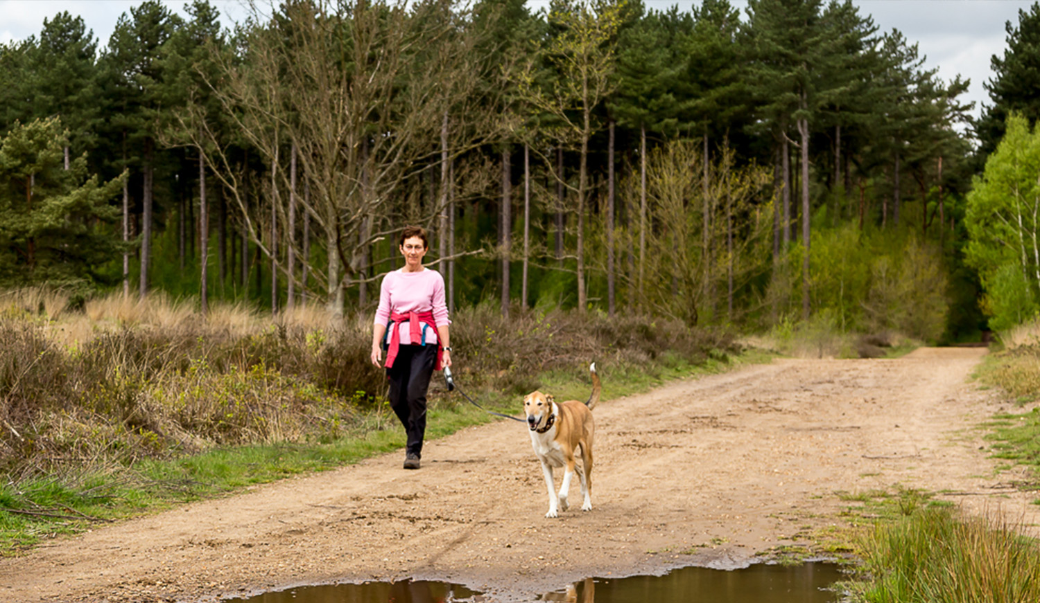 Wandelaar met hond