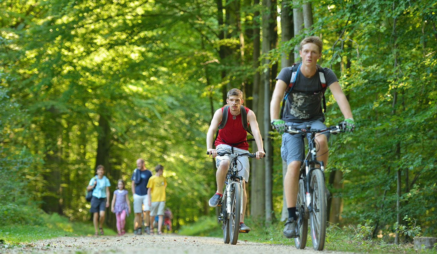 Fietsers en wandelaars