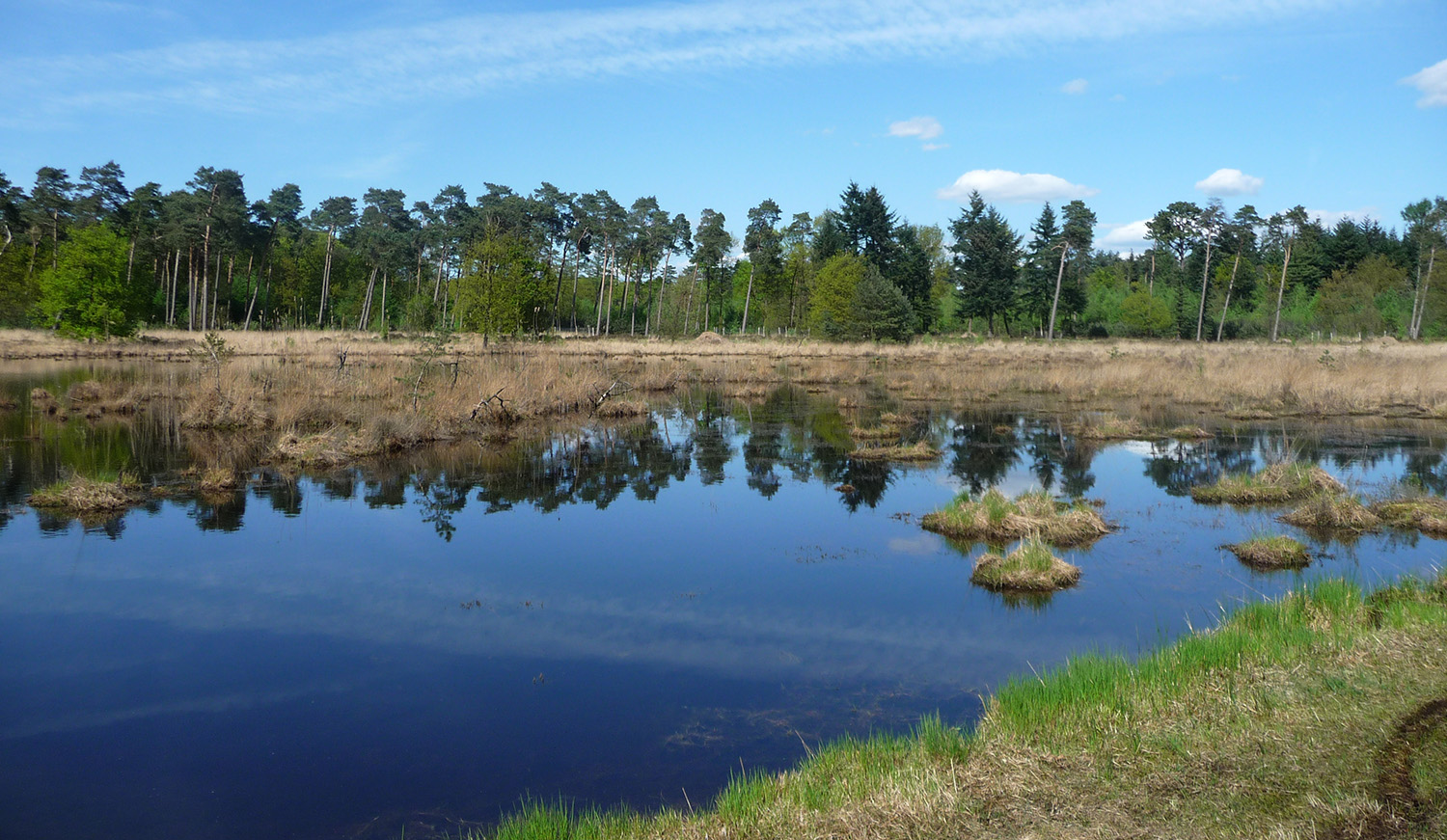 Landschapsfoto