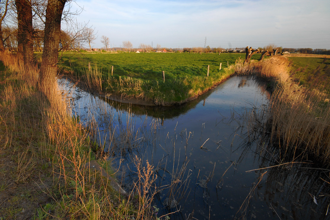 Meetkerkse Moeren