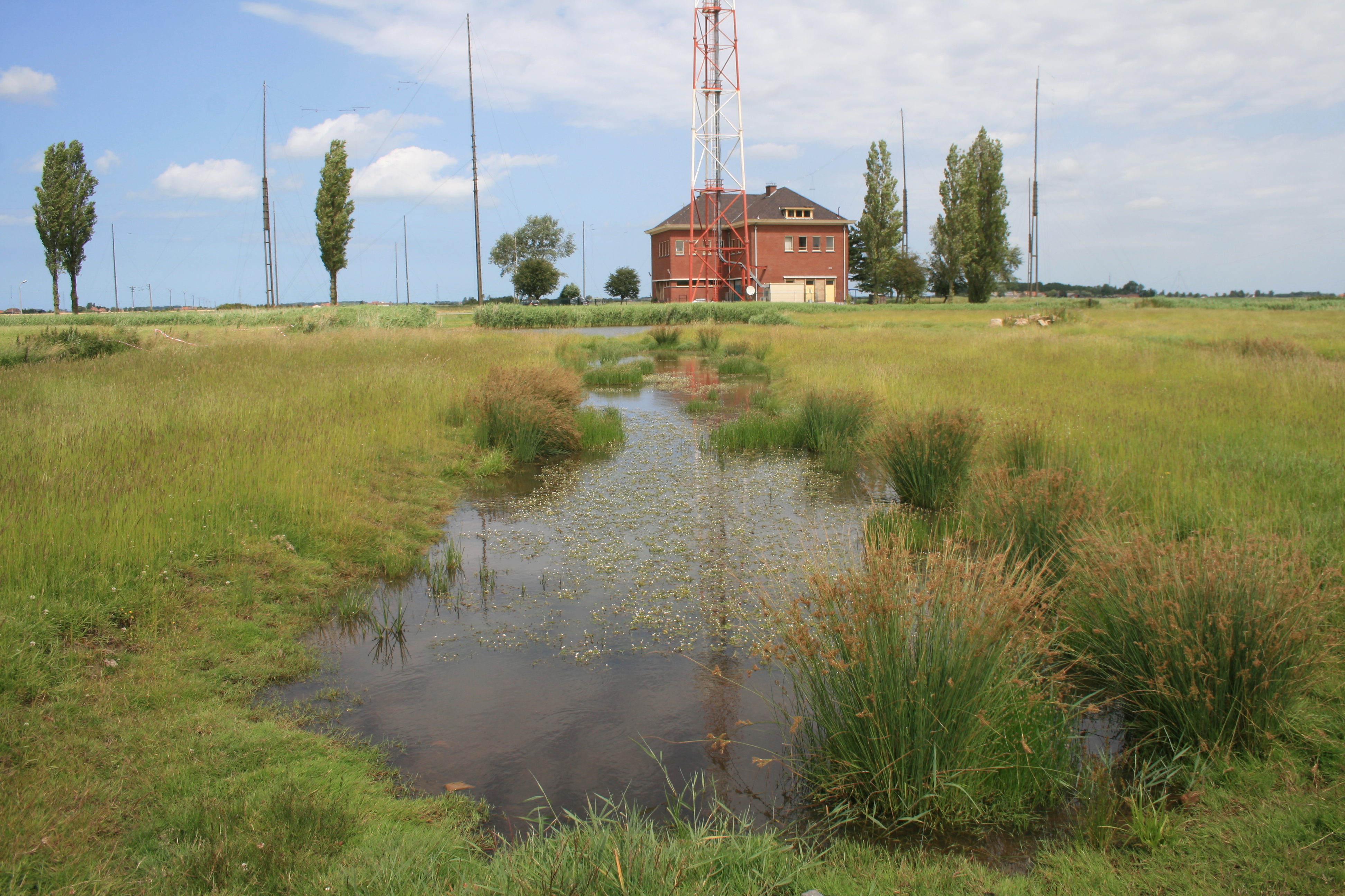 't Pompje