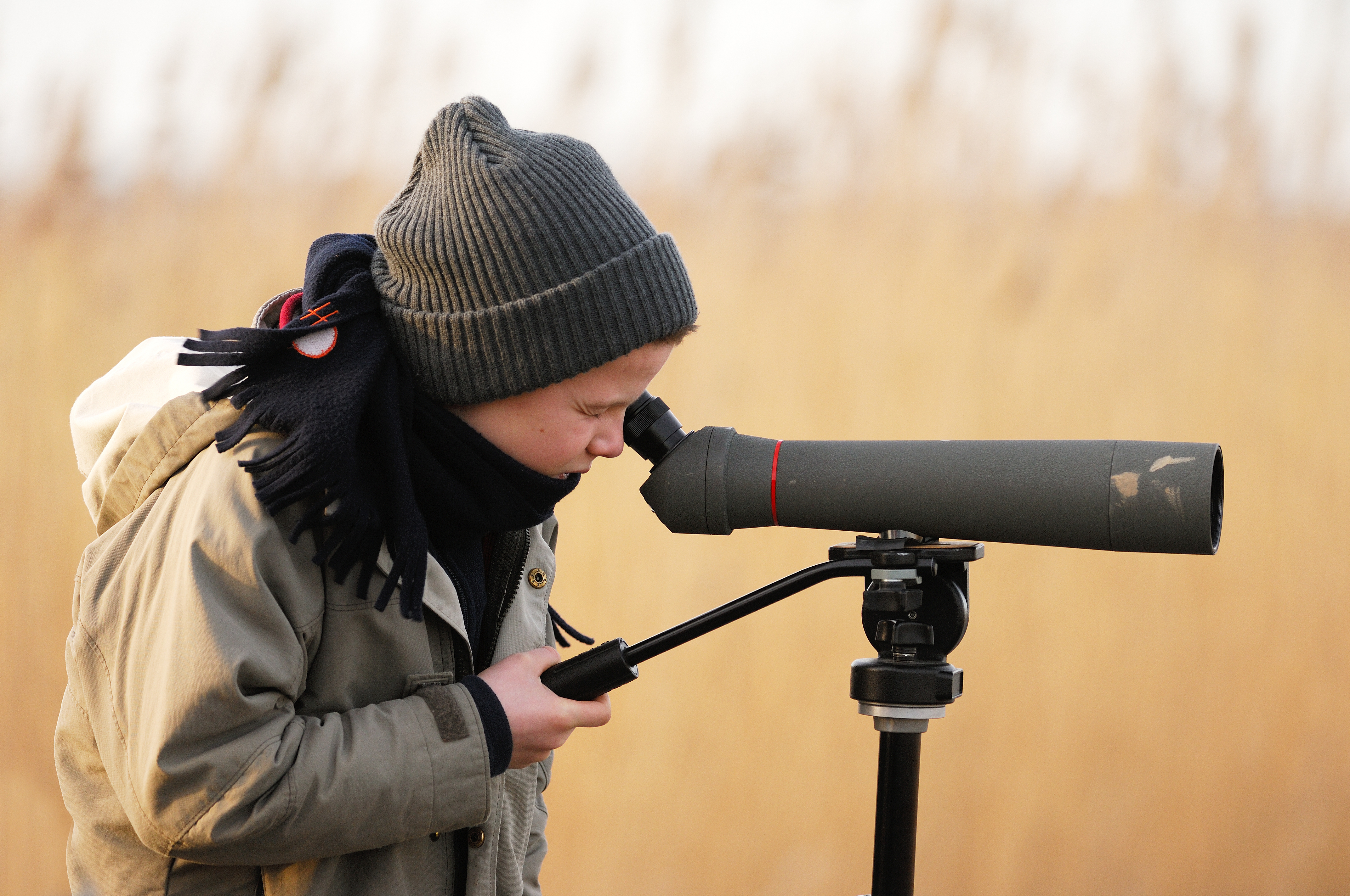 Vogels kijken