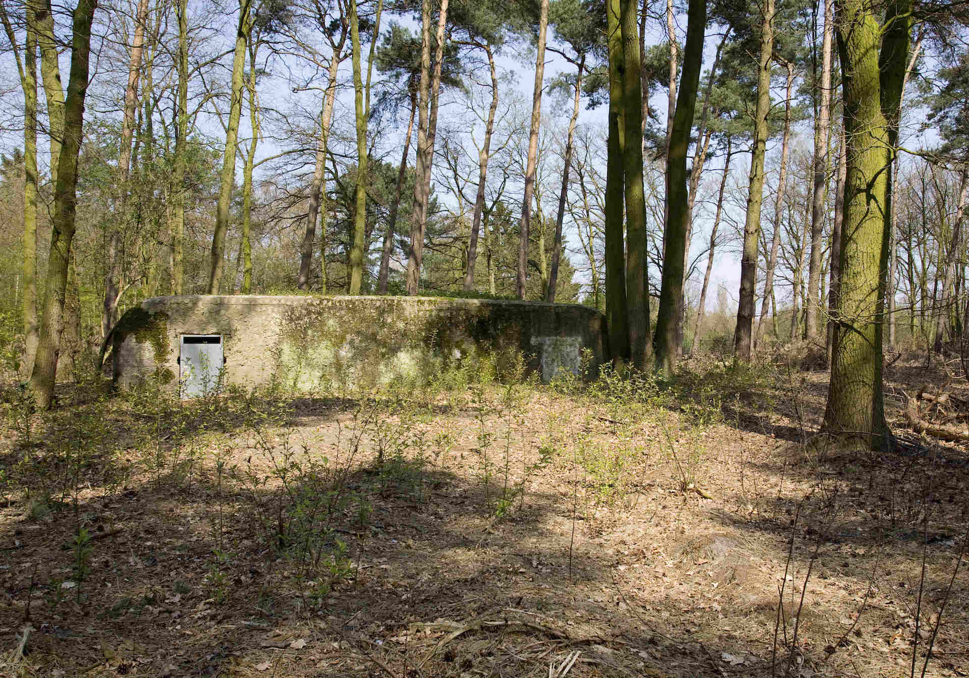 Bunker in Elsenbos 