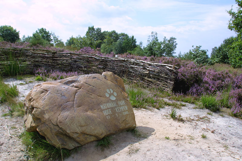 Mechelse Heide © Marc de Vos