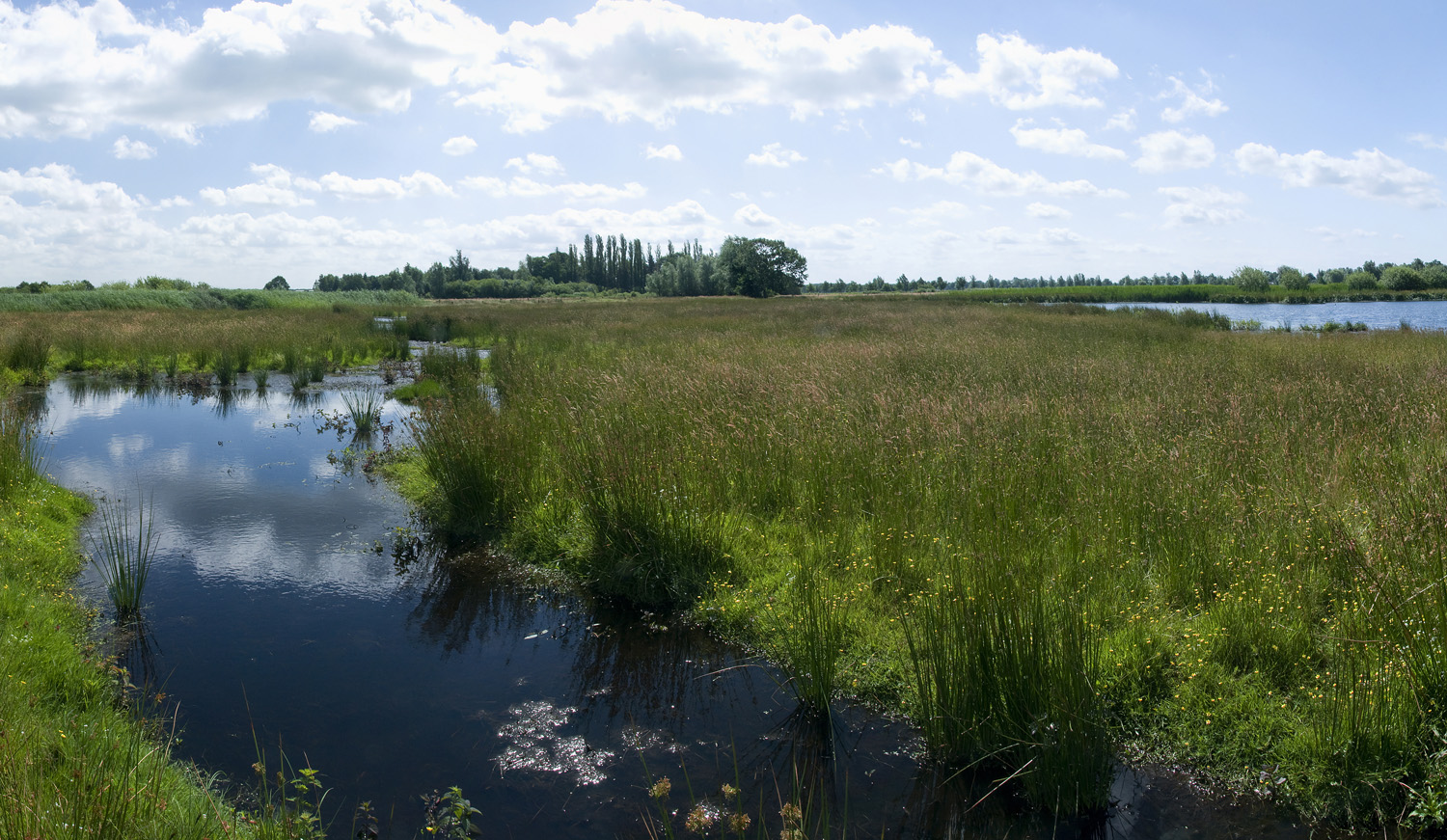 Landschapsbeeld