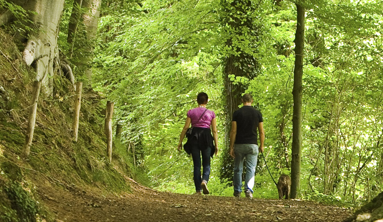 Wandelaars in het bos