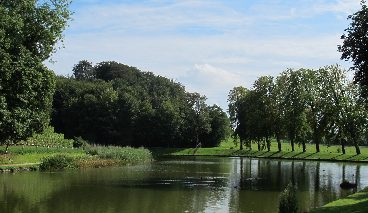 Landschapsbeeld