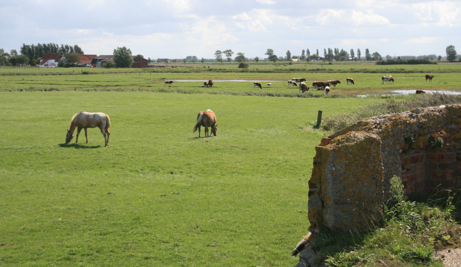 Landschapsbeeld