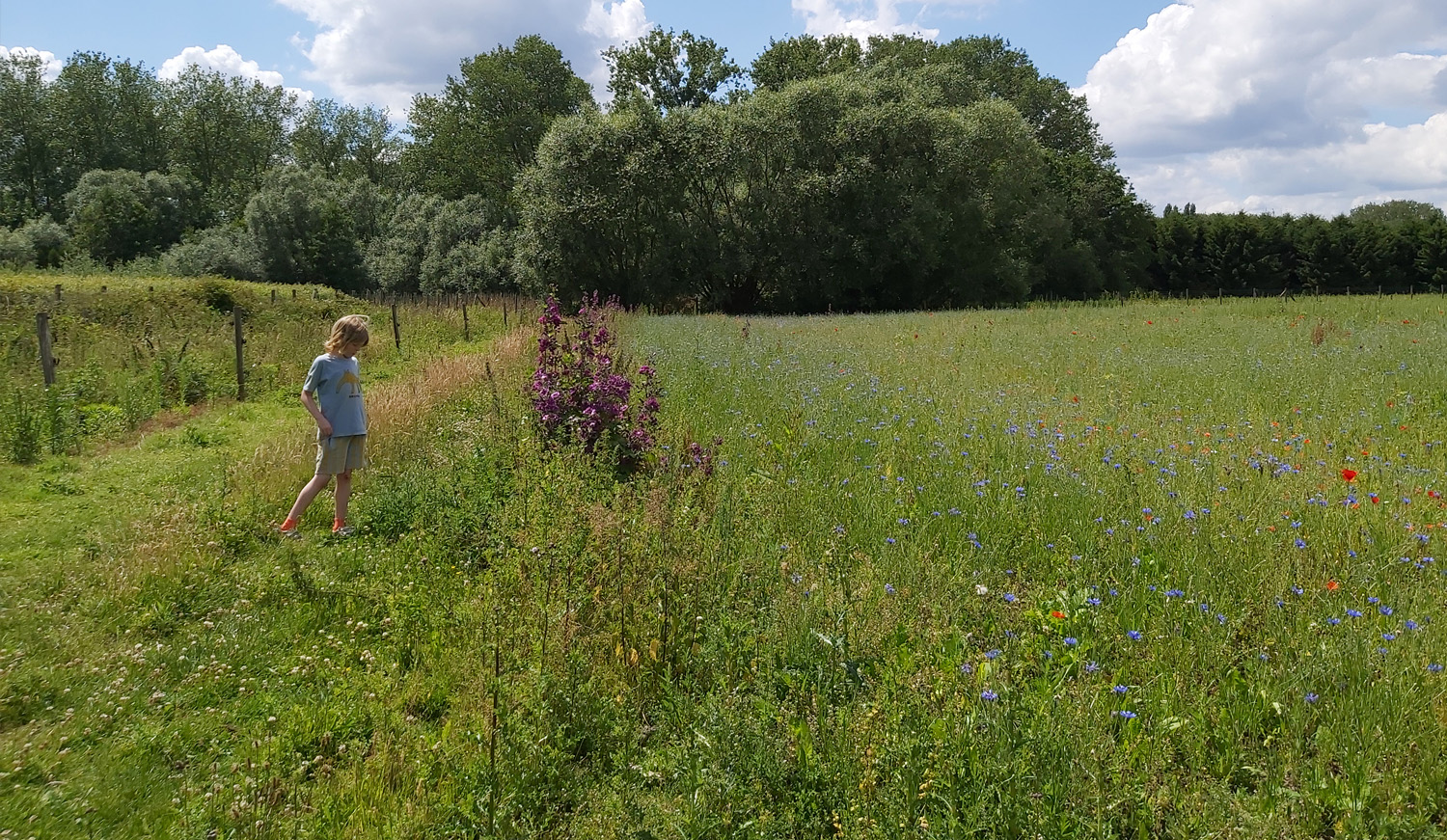 Kind op wandelpad