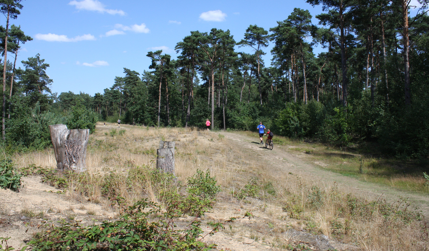 Lopers in het landschap