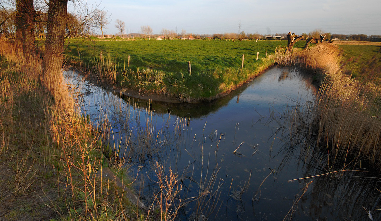 Landschapsbeeld